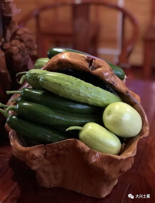 网红瓜怎么整的吃,轻松解锁美味新吃法  第3张